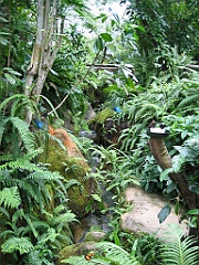 101 Kuranda Butterfly Sanctuary